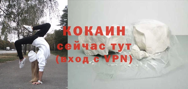 гашик Пестово