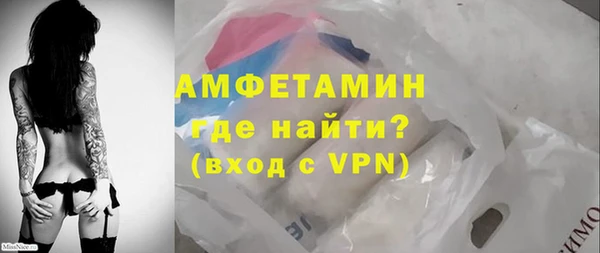 гашик Пестово