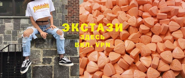 гашик Пестово