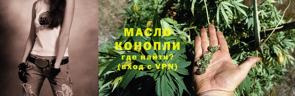 гашик Пестово