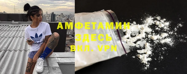 гашик Пестово