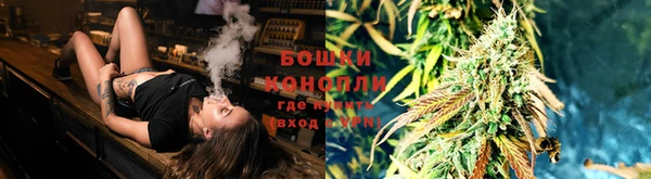 гашик Пестово