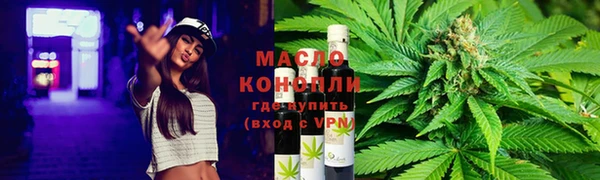 гашик Пестово