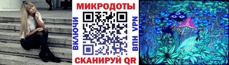 Галлюциногенные грибы Psilocybine cubensis Благовещенск