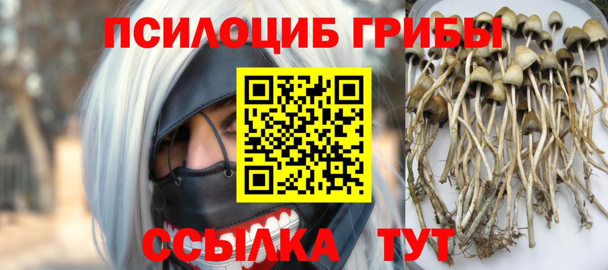 Галлюциногенные грибы Magic Shrooms Благовещенск