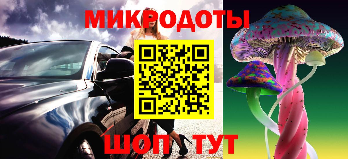 Псилоцибиновые грибы Psilocybe Благовещенск