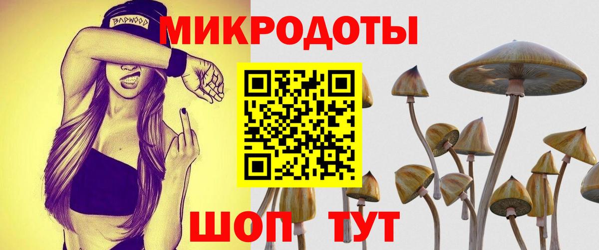 Благовещенск  Псилоцибиновые грибы GOLDEN TEACHER  Псилоцибиновые грибы Psilocybe  Вход с VPN 
